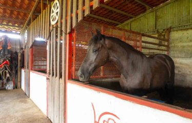 Caballeriza en Pavones