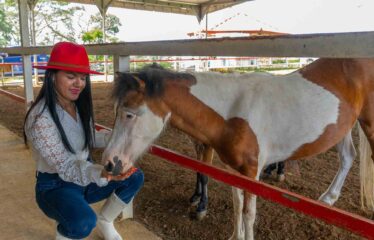 Caballeriza en Pavones