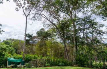 Caballeriza en Pavones