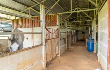 Caballeriza en Pavones