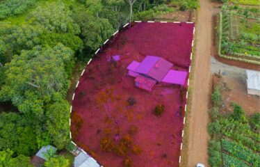 Casa en Paraiso de Cajón