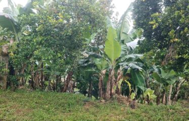 Casa en San Rafael Norte