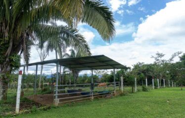 Casa en San Pedrito de Cajón