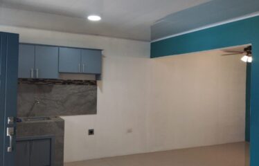 Casa en INVU, El clavel