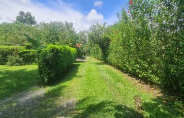 Casa en General Viejo