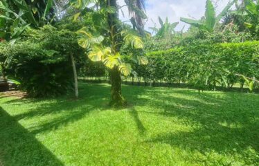 Casa en General Viejo