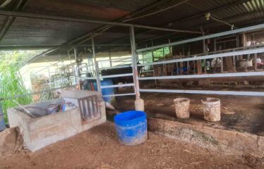 Casa en Tambor de San Pedro