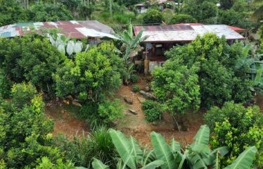 Casa en Tambor de San Pedro