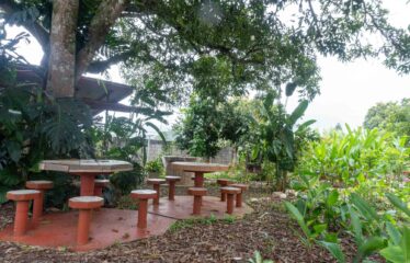 Propiedad comercial en Barrio Bostón