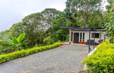 Propiedad con dos casas para retiro o inversión en Airbnb