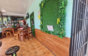 Propiedad en Rivas Centro