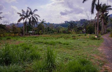 Finca con Casa en Rivas