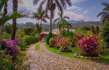 Finca con Casa en Rivas