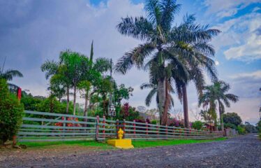 Finca con Casa en Rivas