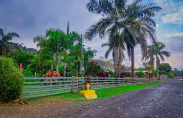 Finca con Casa en Rivas