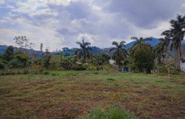 Finca con Casa en Rivas