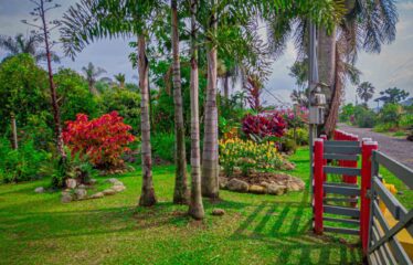 Finca con Casa en Rivas