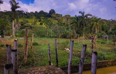 Finca con Casa en Rivas