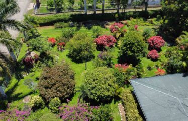 Finca con Casa en Rivas