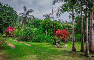 Finca con Casa en Rivas