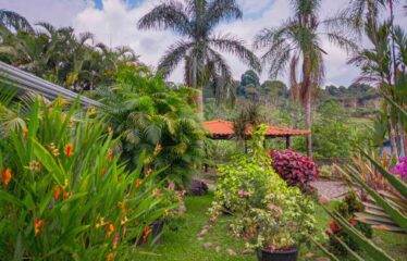 Finca con Casa en Rivas