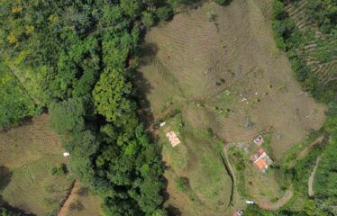 Finca San Martin de Rivas