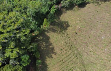 Finca San Martin de Rivas