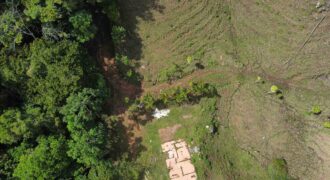 Finca San Martin de Rivas