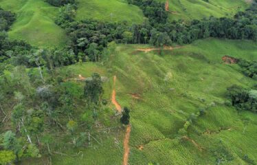 Finca en San Marcos de Baru