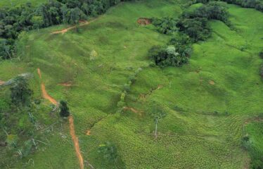 Finca en San Marcos de Baru