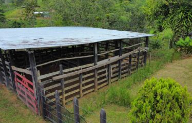 Finca en San Marcos de Baru