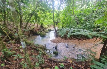 Finca en San Marcos de Baru