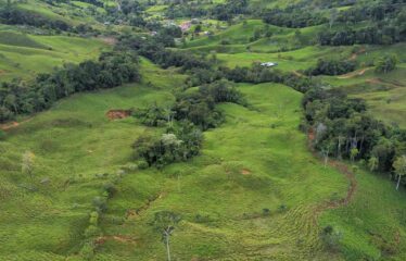 Finca en San Marcos de Baru