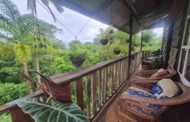 Finca con Cabaña en San Rafael Norte