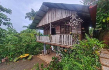 Finca con Cabaña en San Rafael Norte
