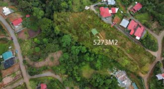 Finca con Cabaña en San Rafael Norte