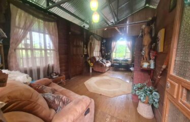 Finca con Cabaña en San Rafael Norte