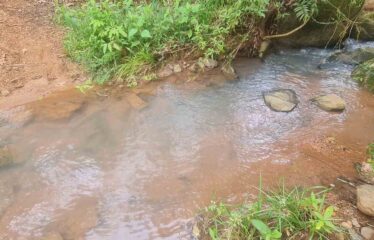 Finca en Zapote de Pejibaye
