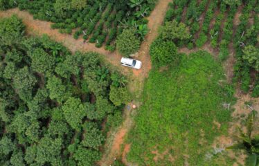 Finca en Zapote de Pejibaye