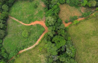 Finca en Zapote de Pejibaye