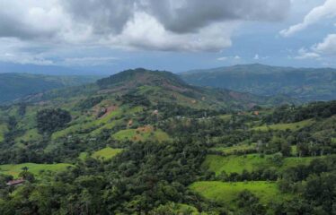Finca en Zapote de Pejibaye