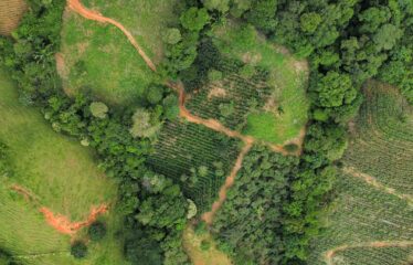 Finca en Zapote de Pejibaye