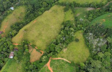 Finca en Zapote de Pejibaye