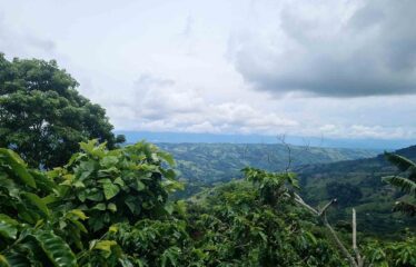 Finca en Zapote de Pejibaye