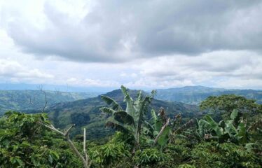 Finca en Zapote de Pejibaye