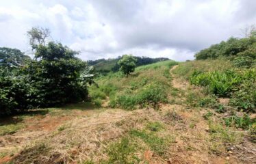 Finca en Zapote de Pejibaye