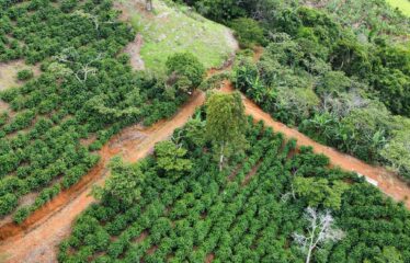 Finca en Zapote de Pejibaye