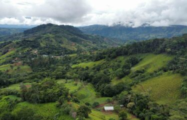 Finca en Zapote de Pejibaye