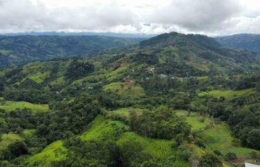 Finca en Zapote de Pejibaye