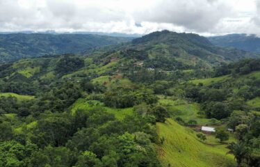 Finca en Zapote de Pejibaye